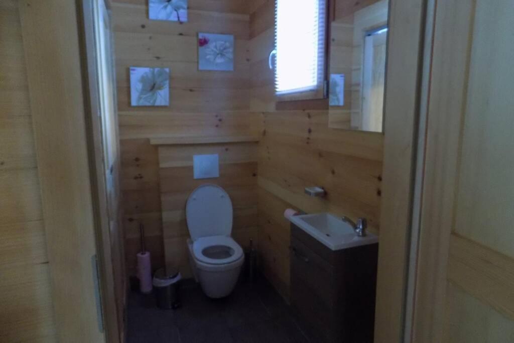 Chalet Des Charbonniers Avec Etang サン・モーリス・シュル・モセル エクステリア 写真